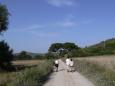 wandelen